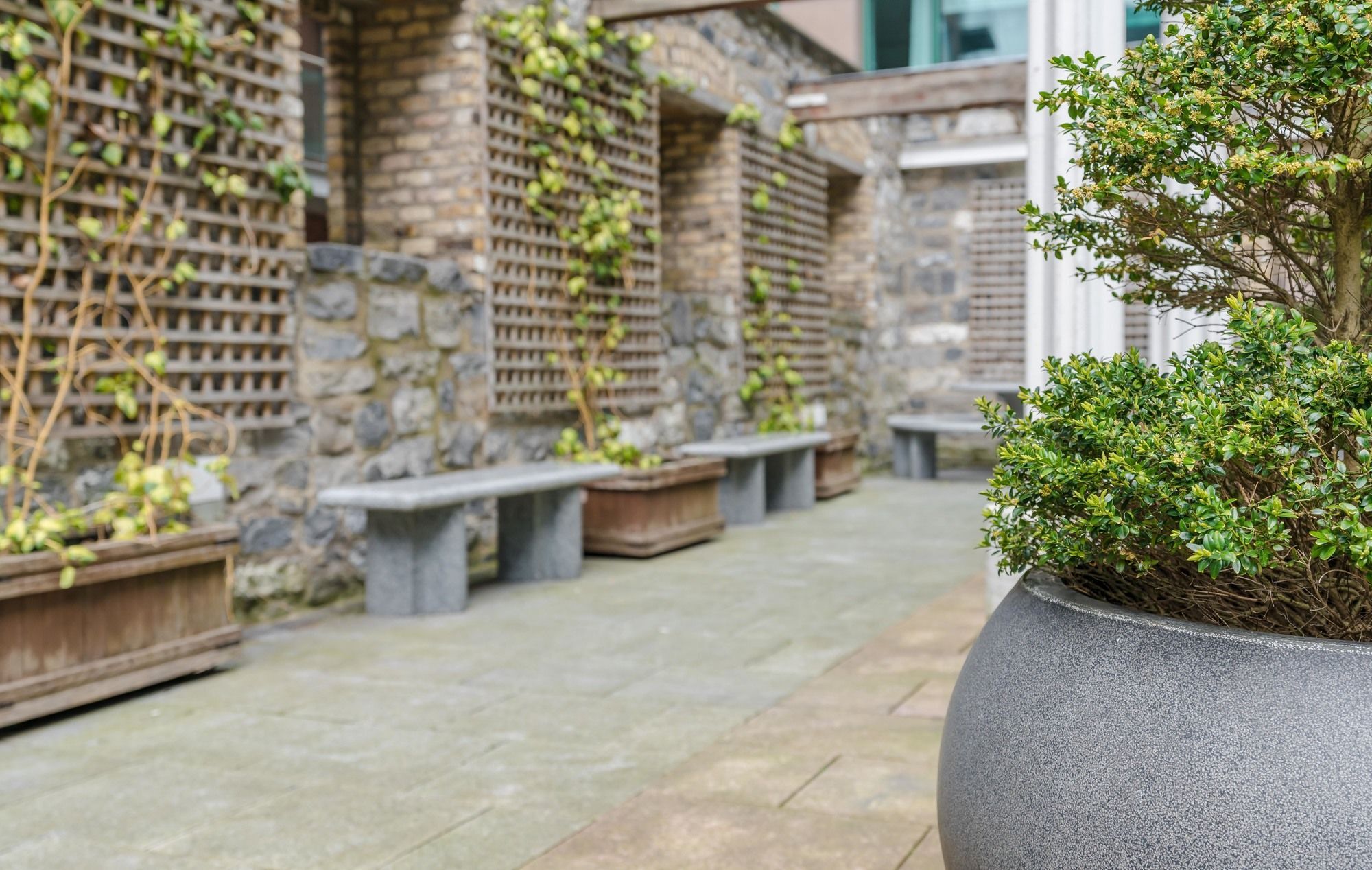 The Grand Canal Dock Apartment Dublin Exterior foto